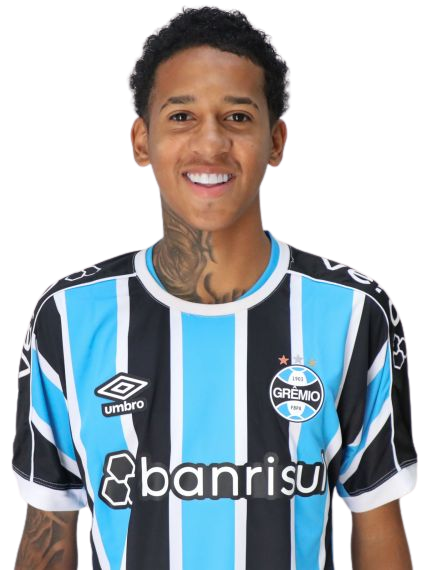 Arquivo:Henry Douglas Rodrigues Matte Linck.png