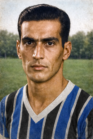 Arquivo:Venicius Ribeiro da Silva.png