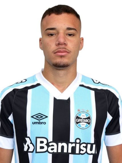 Arquivo:Matheus Henrique Corrêa Santos.png