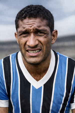 Arquivo:Osmar Fortes Barcellos.png
