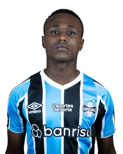 Arquivo:Nathan Ribeiro Fernandes.png