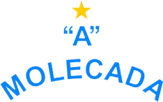 Escudo Molecada.png