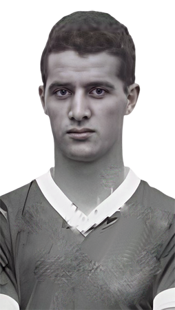 Júlio Laerte Camilo do Amaral.png