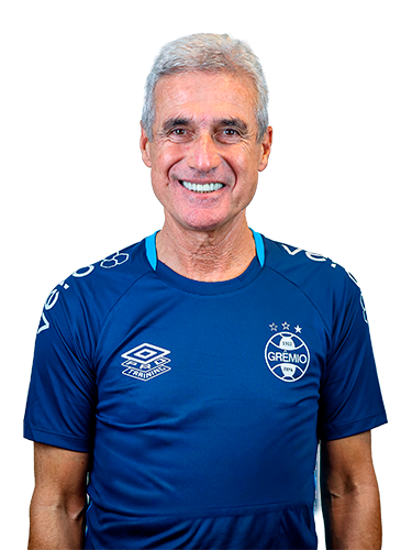 Arquivo:Luís Manuel Ribeiro de Castro.png