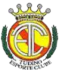 Escudo Tudino.png