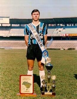 Alcides Azevedo da Silva.jpg