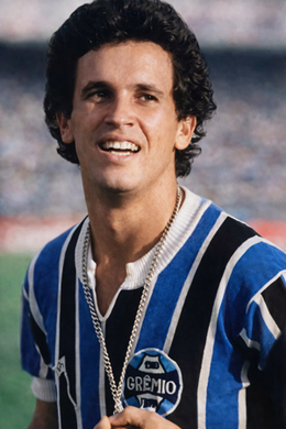 Flávio Roberto Severo Albano.png