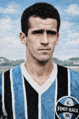 Adroaldo Giordano Martins.png