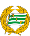 Escudo Hammarby.png