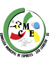 Escudo CME São Ludgero.png