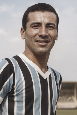 Manoel da Rocha Mourão.png