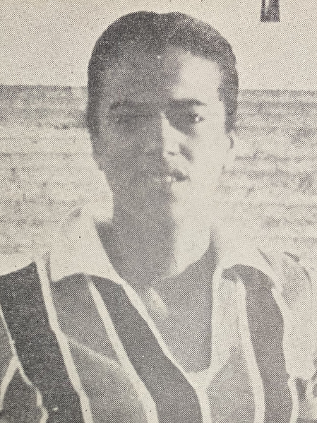 Arquivo:Érica Lopes da Silva.png