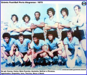 Equipe Grêmio 1975.jpg