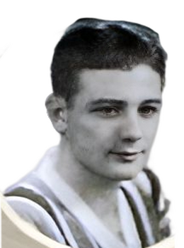 Alcides Veronese.png