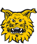 Ilves Tampere