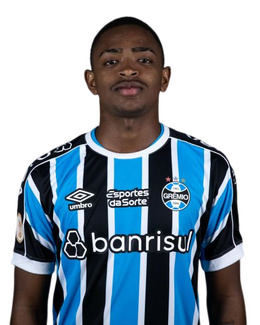 Ronald Barcellos Arantes.png
