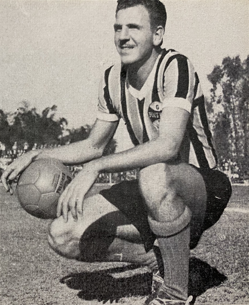 Arquivo:Orlando Rosa Romagna 02.PNG