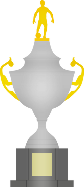 Arquivo:Taça Piratini.png