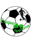 Escudo Craques do Futuro.png