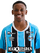 Gabriel Ferreira de Carvalho.png