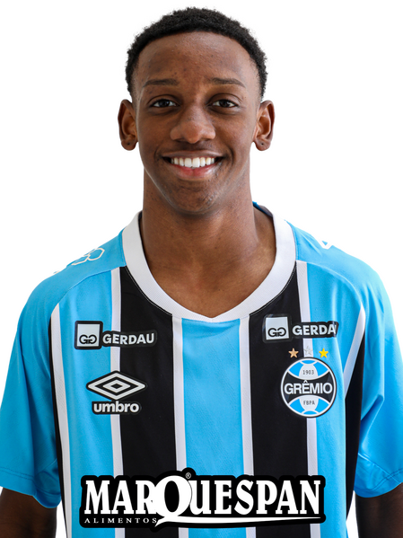 Arquivo:Gabriel Ferreira de Carvalho.png