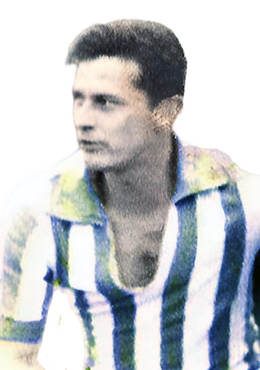 Newton Giordani de Queiróz.png