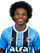 Willian Borges da Silva.png