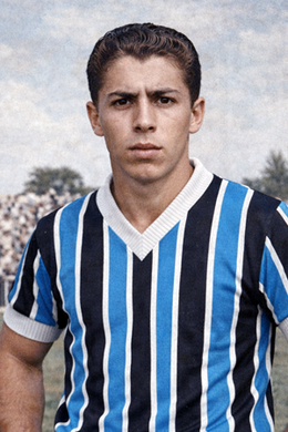 Hélio de Azevedo Motta.png