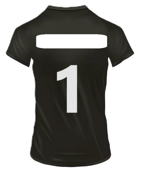 Arquivo:Logo Costas Superior.png