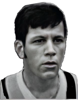 Luís Carlos Fioravante Goulart.png