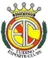 Escudo Tudino.png